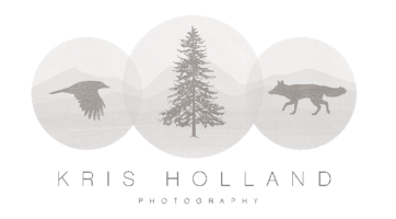 Sacramento Wedding Photographer